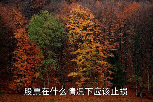 股票在什么情況下應該止損