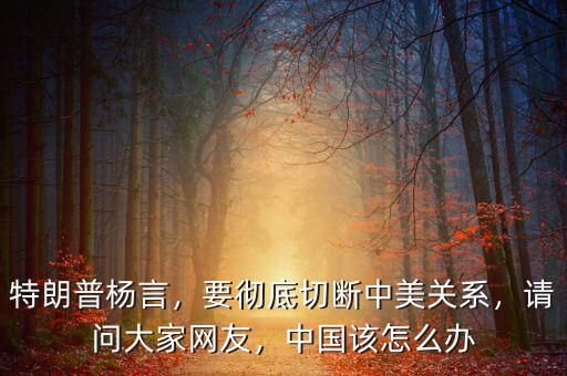特朗普楊言，要徹底切斷中美關(guān)系，請問大家網(wǎng)友，中國該怎么辦