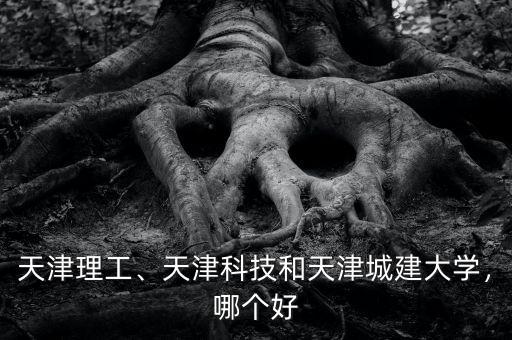 天津理工、天津科技和天津城建大學(xué)，哪個(gè)好