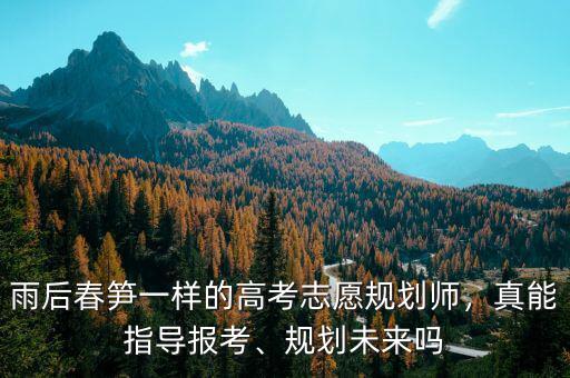 雨后春筍一樣的高考志愿規(guī)劃師，真能指導(dǎo)報(bào)考、規(guī)劃未來(lái)嗎