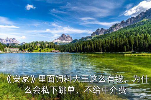 《安家》里面飼料大王這么有錢，為什么會私下跳單，不給中介費