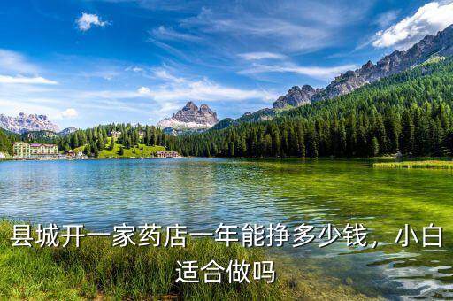 縣城開一家藥店一年能掙多少錢，小白適合做嗎