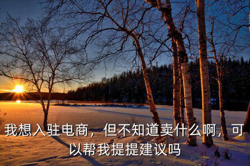 我想入駐電商，但不知道賣什么啊，可以幫我提提建議嗎