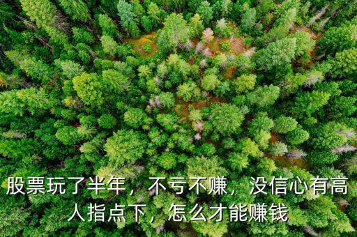 股票玩了半年，不虧不賺，沒信心有高人指點下，怎么才能賺錢