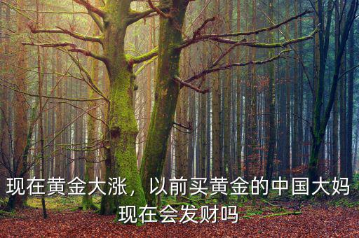 現(xiàn)在黃金大漲，以前買黃金的中國大媽現(xiàn)在會發(fā)財(cái)嗎