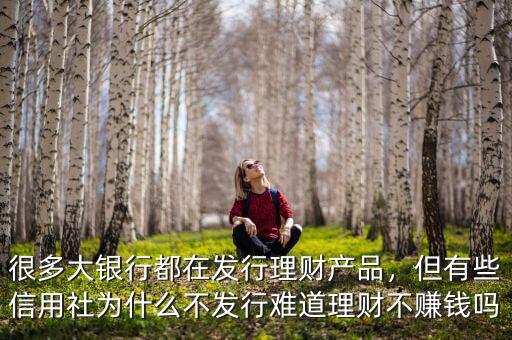 很多大銀行都在發(fā)行理財(cái)產(chǎn)品，但有些信用社為什么不發(fā)行難道理財(cái)不賺錢嗎