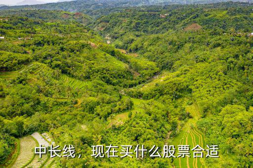 中長線，現(xiàn)在買什么股票合適