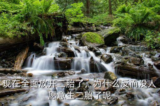 現(xiàn)在全面放開二胎了，為什么反而沒人愿意生二胎了呢