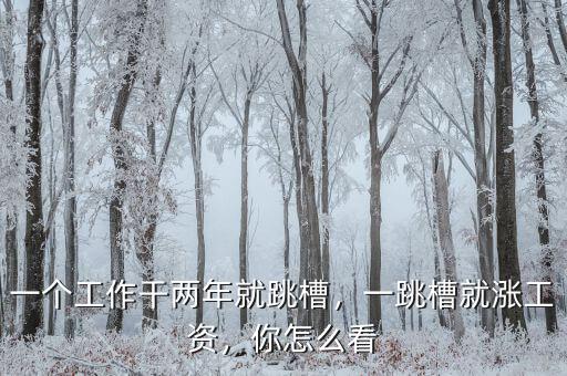 一個工作干兩年就跳槽，一跳槽就漲工資，你怎么看