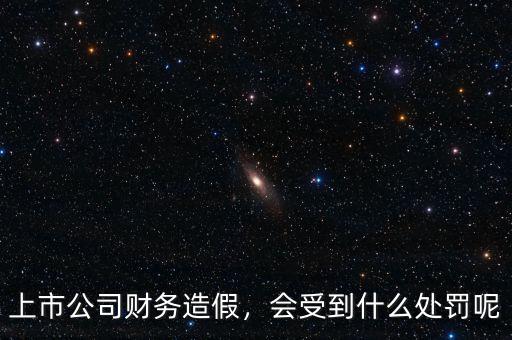 上市公司財(cái)務(wù)造假，會(huì)受到什么處罰呢