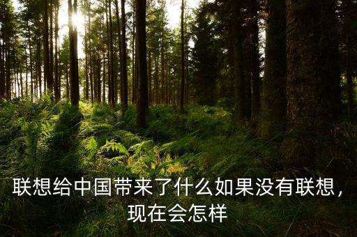 聯(lián)想給中國(guó)帶來(lái)了什么如果沒(méi)有聯(lián)想，現(xiàn)在會(huì)怎樣