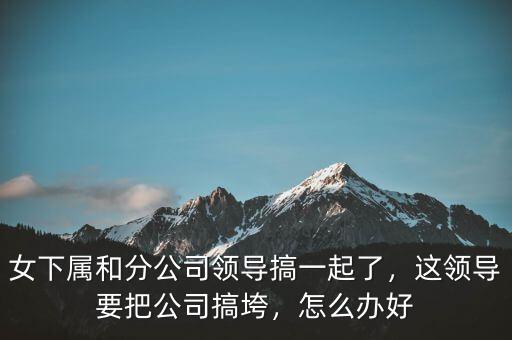 女下屬和分公司領(lǐng)導(dǎo)搞一起了，這領(lǐng)導(dǎo)要把公司搞垮，怎么辦好