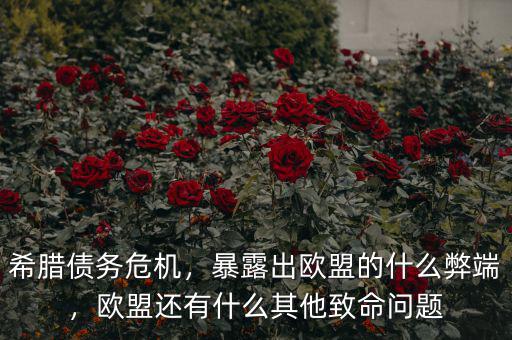 希臘債務(wù)危機(jī)，暴露出歐盟的什么弊端，歐盟還有什么其他致命問題