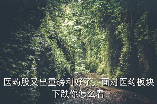 醫(yī)藥股又出重磅利好了，面對醫(yī)藥板塊下跌你怎么看