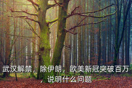 武漢解禁，除伊朗，歐美新冠突破百萬(wàn)，說(shuō)明什么問(wèn)題