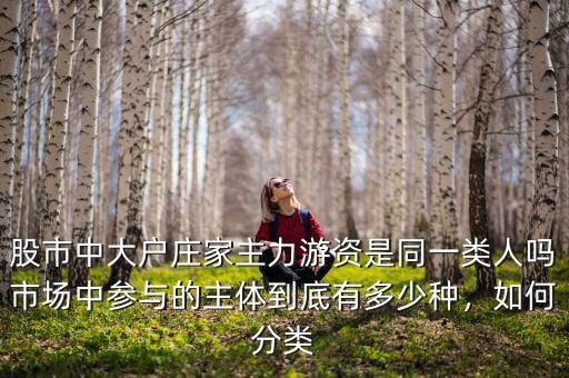 股市中大戶莊家主力游資是同一類人嗎市場(chǎng)中參與的主體到底有多少種，如何分類