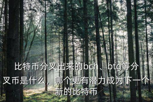 比特幣分叉出來的bch、btg等分叉幣是什么，哪個(gè)更有潛力成為下一個(gè)新的比特幣