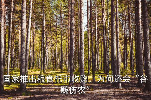 國(guó)家推出糧食托市收購(gòu)，為何還會(huì)“谷賤傷農(nóng)”