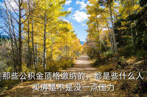 那些公積金頂格繳納的，都是些什么人買房是不是沒一點壓力