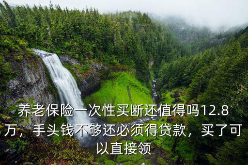 養(yǎng)老保險(xiǎn)一次性買斷還值得嗎12.8萬，手頭錢不夠還必須得貸款，買了可以直接領(lǐng)