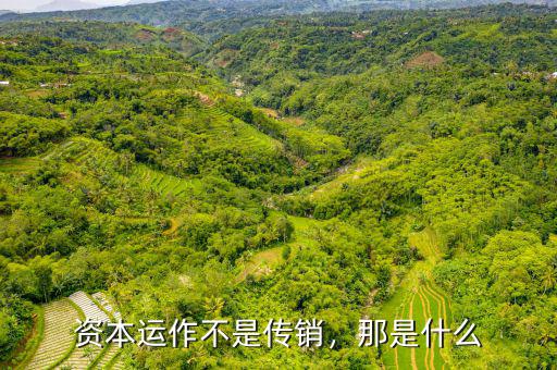 資本運(yùn)作不是傳銷，那是什么