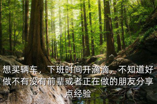 想買(mǎi)輛車(chē)，下班時(shí)間開(kāi)滴滴，不知道好做不有沒(méi)有前輩或者正在做的朋友分享點(diǎn)經(jīng)驗(yàn)