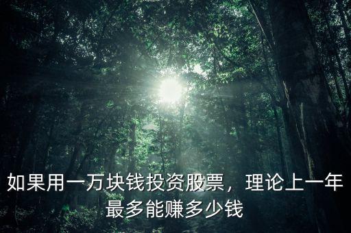 如果用一萬塊錢投資股票，理論上一年最多能賺多少錢