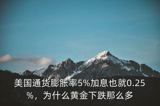 美國(guó)通貨膨脹率5%加息也就0.25%，為什么黃金下跌那么多