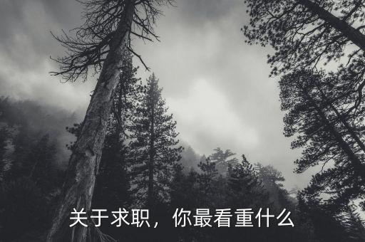 關于求職，你最看重什么