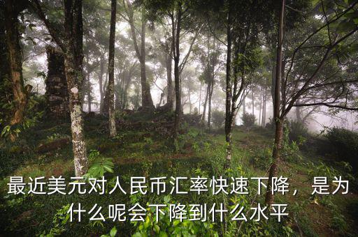 最近美元對人民幣匯率快速下降，是為什么呢會下降到什么水平