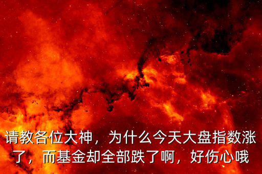 請教各位大神，為什么今天大盤指數(shù)漲了，而基金卻全部跌了啊，好傷心哦