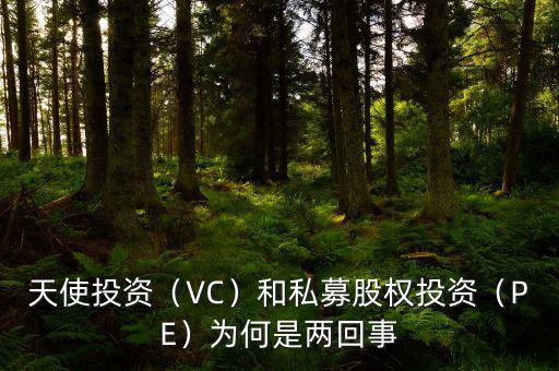 天使投資（VC）和私募股權投資（PE）為何是兩回事