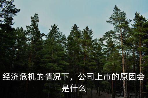 經(jīng)濟(jì)危機(jī)的情況下，公司上市的原因會(huì)是什么