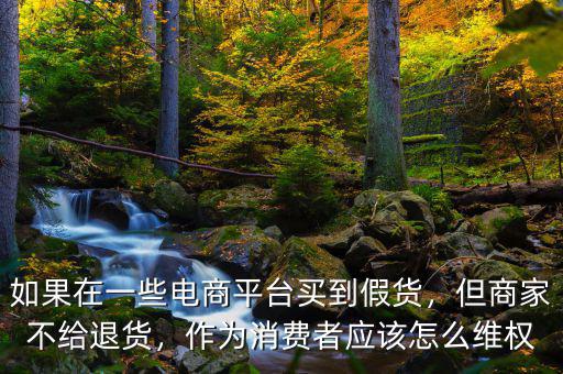 如果在一些電商平臺買到假貨，但商家不給退貨，作為消費者應(yīng)該怎么維權(quán)