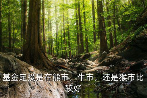 基金定投是在熊市，牛市，還是猴市比較好