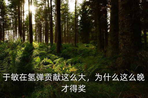 于敏在氫彈貢獻(xiàn)這么大，為什么這么晚才得獎