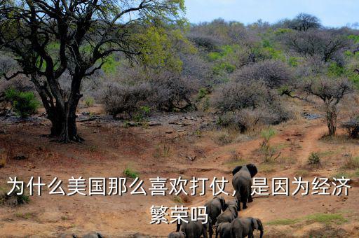 為什么美國那么喜歡打仗，是因為經(jīng)濟繁榮嗎