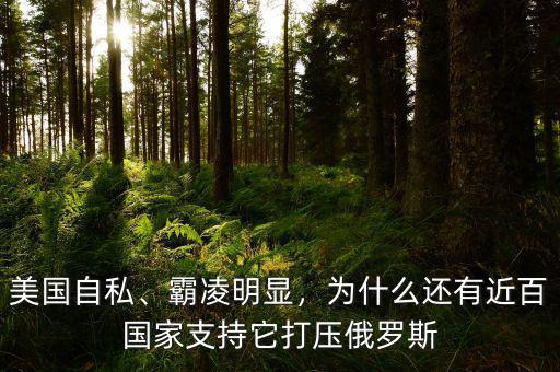 美國(guó)自私、霸凌明顯，為什么還有近百國(guó)家支持它打壓俄羅斯