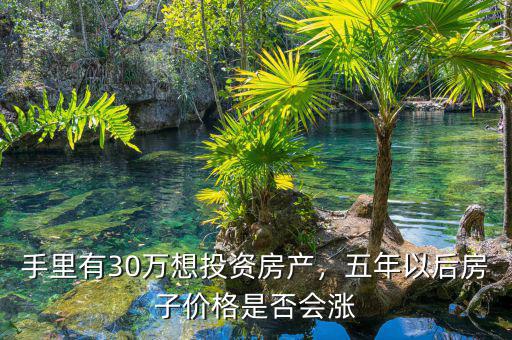 手里有30萬想投資房產(chǎn)，五年以后房子價格是否會漲