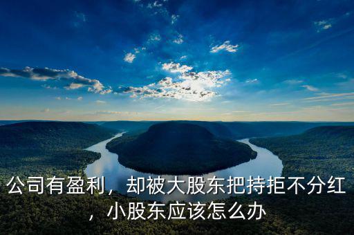公司有盈利，卻被大股東把持拒不分紅，小股東應該怎么辦