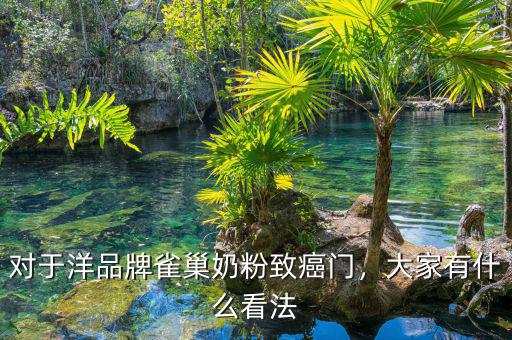 對于洋品牌雀巢奶粉致癌門，大家有什么看法