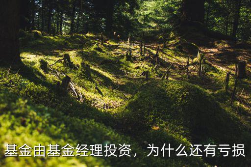 基金由基金經(jīng)理投資，為什么還有虧損
