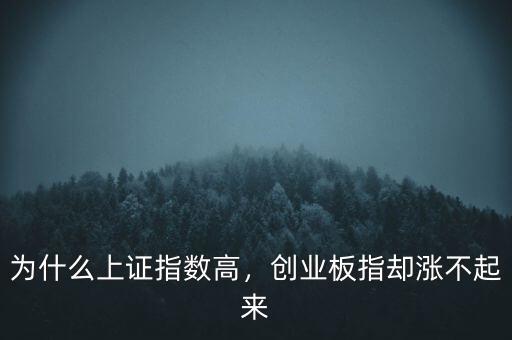 為什么上證指數(shù)高，創(chuàng)業(yè)板指卻漲不起來