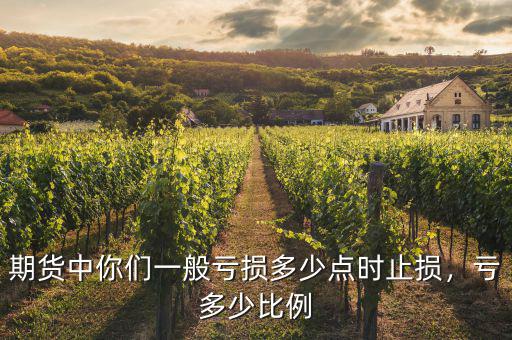 期貨中你們一般虧損多少點(diǎn)時(shí)止損，虧多少比例
