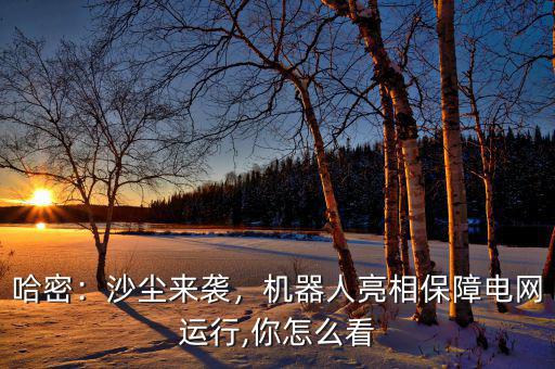 哈密：沙塵來(lái)襲，機(jī)器人亮相保障電網(wǎng)運(yùn)行,你怎么看