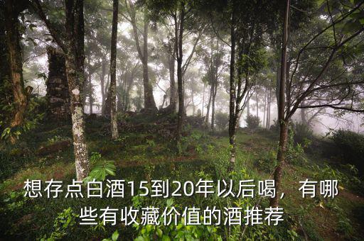 想存點(diǎn)白酒15到20年以后喝，有哪些有收藏價值的酒推薦