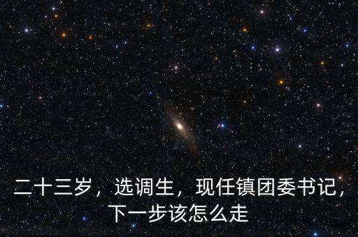 二十三歲，選調(diào)生，現(xiàn)任鎮(zhèn)團(tuán)委書(shū)記，下一步該怎么走