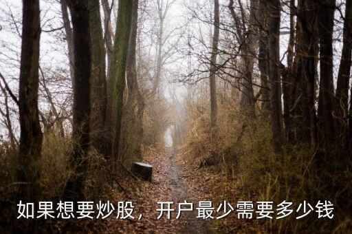 如果想要炒股，開(kāi)戶最少需要多少錢