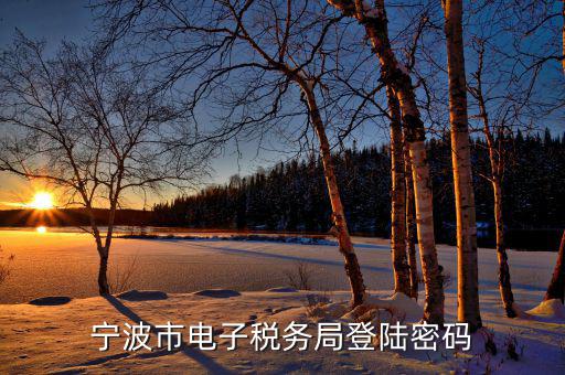 電子稅務(wù)默認登錄密碼是什么，稅務(wù)局網(wǎng)站的登入賬戶初始密碼是什么