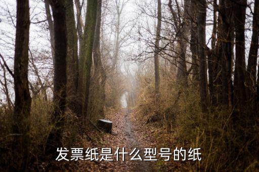 發(fā)票用什么紙，發(fā)票紙是什么型號的紙
